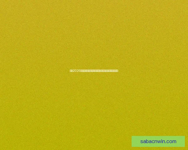 围绕2026世界杯体育场建设推动城市发展与国际赛事融合新格局