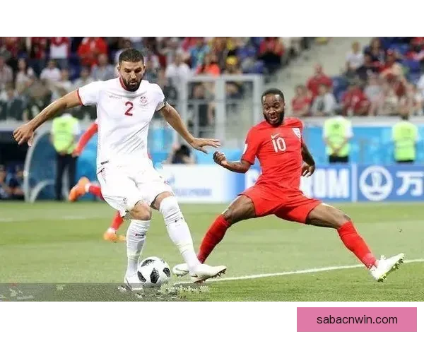 聚焦2026世界杯买球趋势与投注技巧全面解析指南与实战策略详