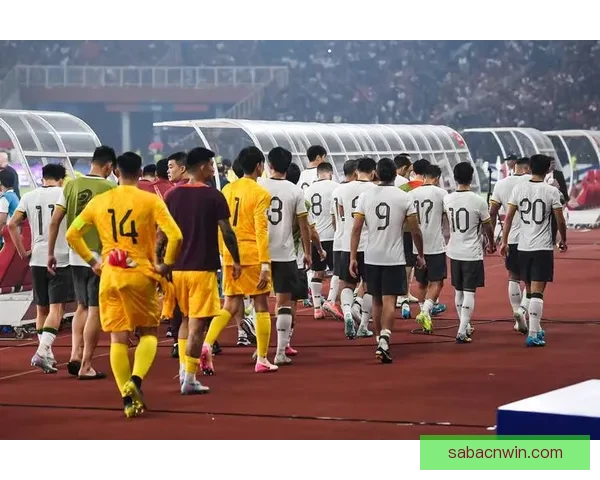 2026世界杯热门赛事分析与买球策略全攻略