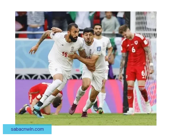 世界杯竞猜胜负技巧与规则全面解析让你赢得更多积分